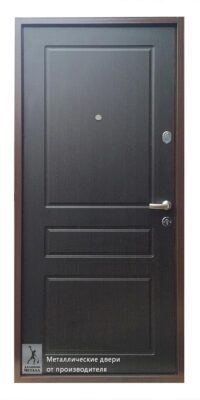 Входная дверь ДМС-501.1