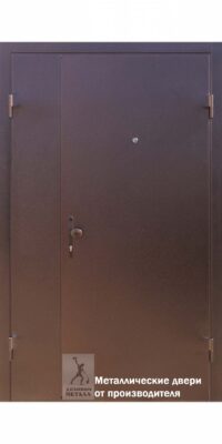 Металлическая дверь ДМС-801.3 в тамбур
